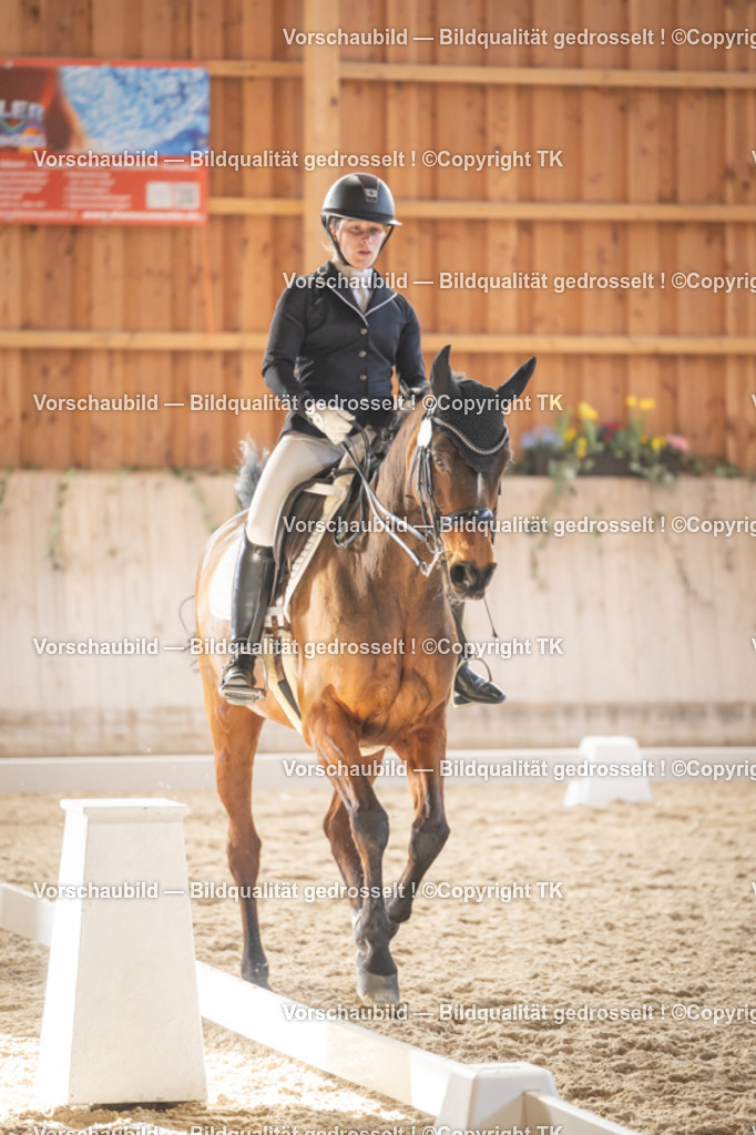 _D5A3119 | Emotionale Pferde- & People-Fotografie rund um Heidelberg, Leimen & Umgebung. Natürliche Fotos von Pferd, Mensch & Familie. Jetzt Termin sichern!