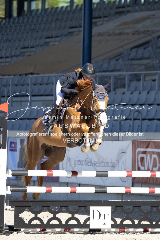 126A1213 | jasminmetznerfotografie