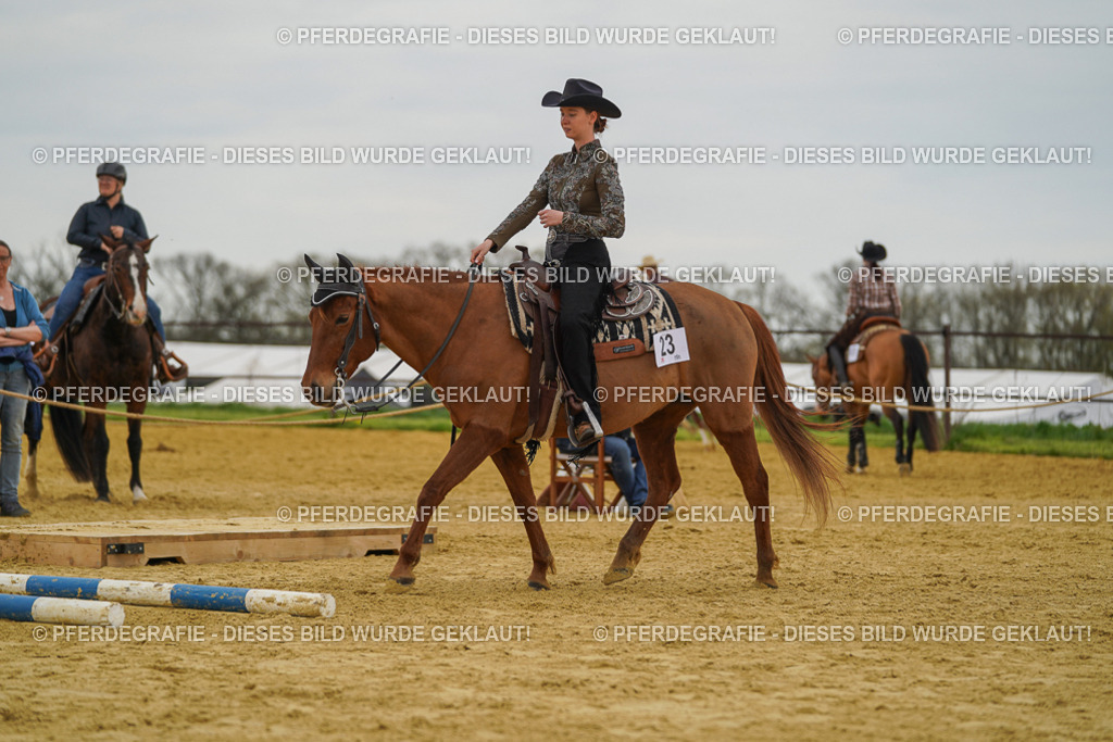 DSC02675 | Pferdegrafie