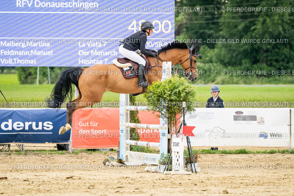 DSC06982 | Pferdegrafie