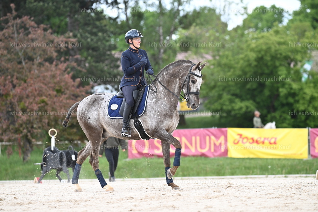 PI26_ST_Sara_Landvogt226_3239.JPG | working equitationturnier fotograf videograf stoibphotography marixx film working equitation deutschland reitsport turnierfotografie eventfotografie equestrian events