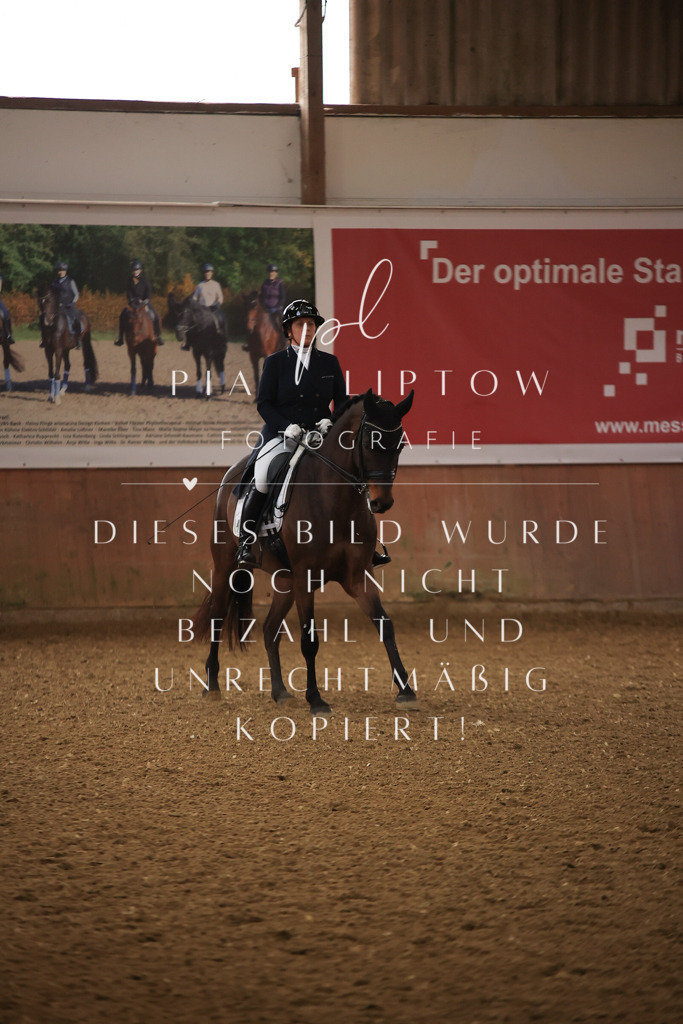 IMGT5031 | pl-fotografie