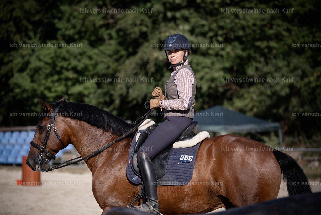 WS_SP_46_Stoibphotography_SO12484 | working equitationturnier fotograf videograf stoibphotography marixx film working equitation deutschland reitsport turnierfotografie eventfotografie equestrian events