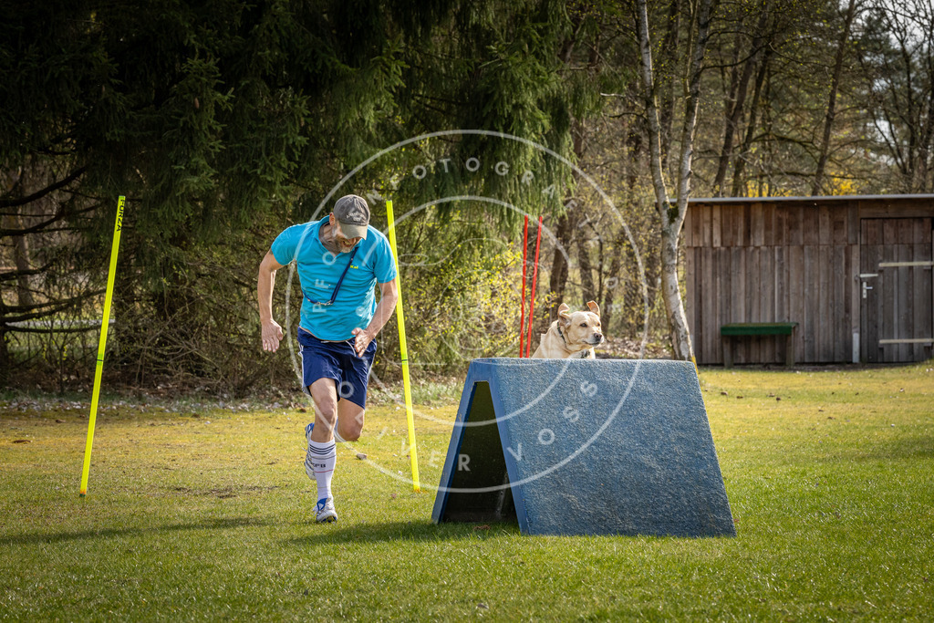 Pfotenfotografie_DV3A3797 | Hundefotografie, Tierfotograf, Pfotenfotografie, Fotoshooting Hund, Hunde Portrait, Hundesport, Hundeportraits, Heideshooting, Hunde, Sportfotograf, Hundefotograf, Turnierhundsport, THS,  - Realisiert mit Pictrs.com