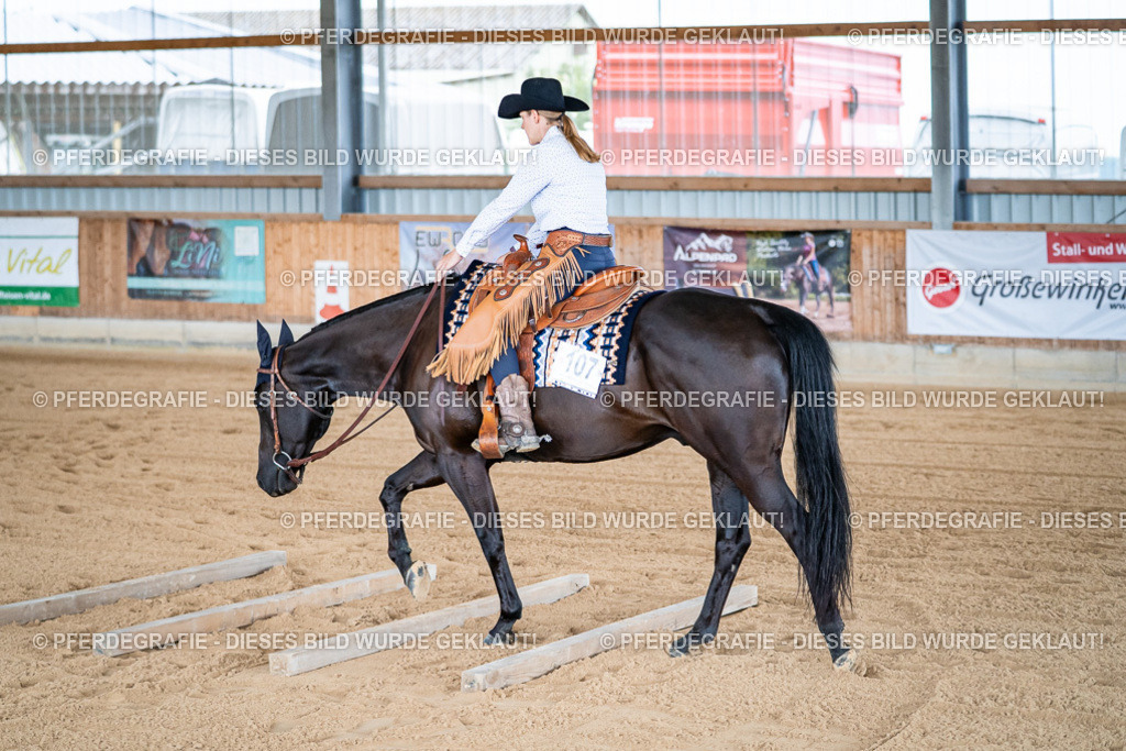 DSC08269 | Pferdegrafie