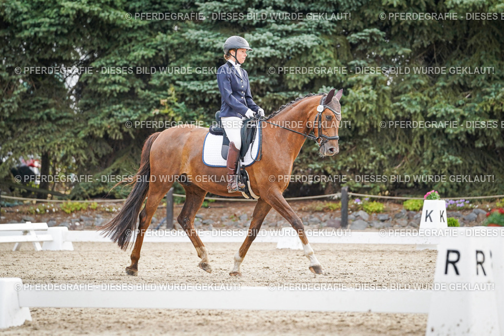 DSC00417 | Pferdegrafie