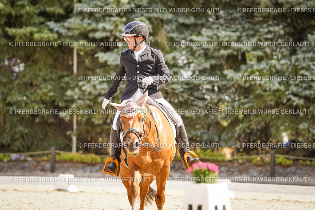 DSC00831 | Pferdegrafie