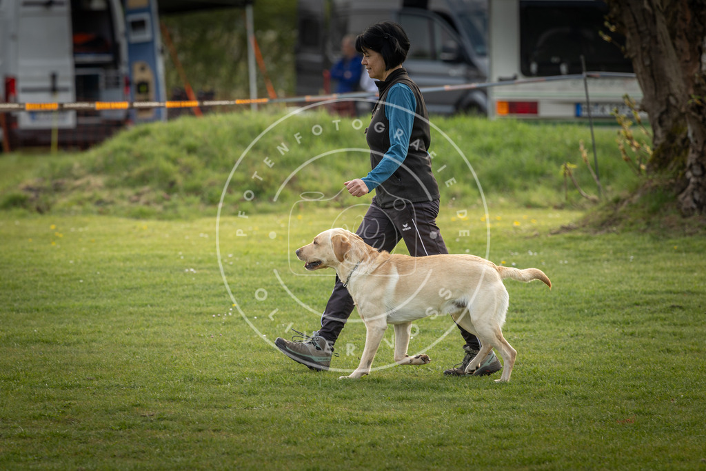 Pfotenfotografie_DV3A4917 | Hundefotografie, Tierfotograf, Pfotenfotografie, Fotoshooting Hund, Hunde Portrait, Hundesport, Hundeportraits, Heideshooting, Hunde, Sportfotograf, Hundefotograf, Turnierhundsport, THS,  - Realisiert mit Pictrs.com