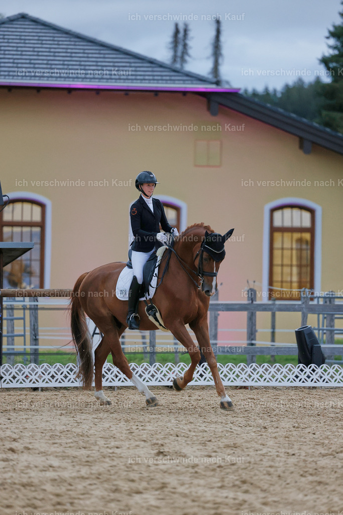 04_2-064-Dressur M__ -StoibPH-2995 | working equitationturnier fotograf videograf stoibphotography marixx film working equitation deutschland reitsport turnierfotografie eventfotografie equestrian events