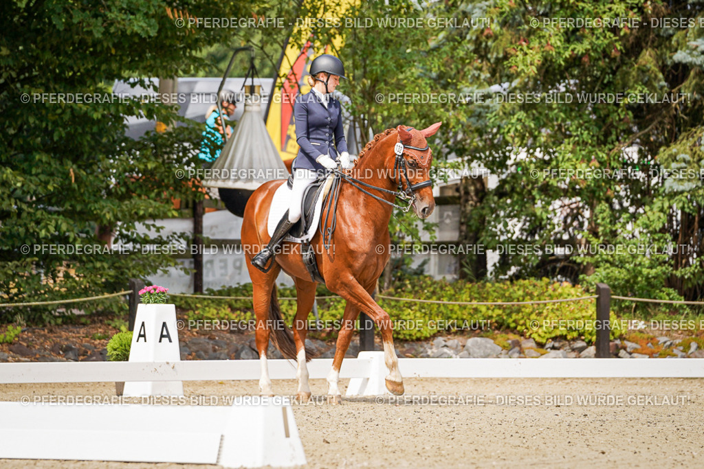 DSC04817 | Pferdegrafie