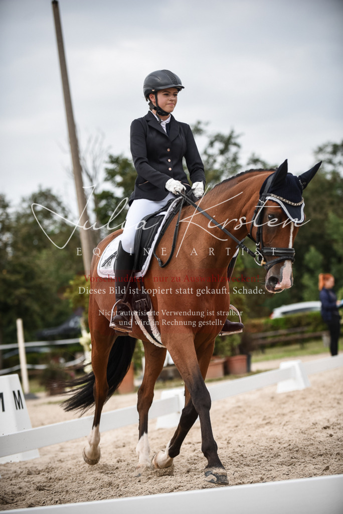 DSC_8425 | Pferde- und Turnierfotografie in Westsachsen. Pferdeportraits, Auftragszeichnungen und intuitive Kunst.