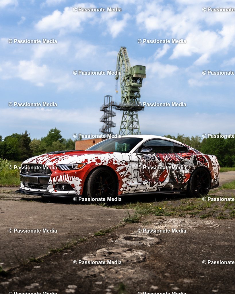 DSC04843 | Passionate Media, dein Fotograf aus Brandenburg, Märkisch Oderland, im Bereich Motorsport, Autos und Motorräder sowie Events und auch Hunde. Shootings oder auch Eventbegleitungen können bei mir gebucht we