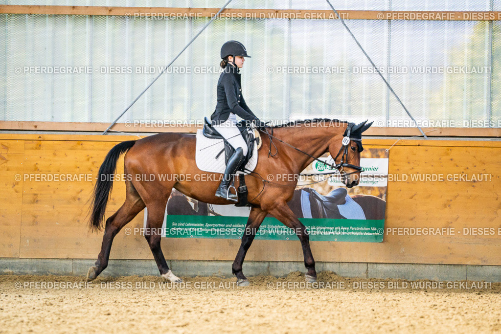 DSC03543 | Pferdegrafie