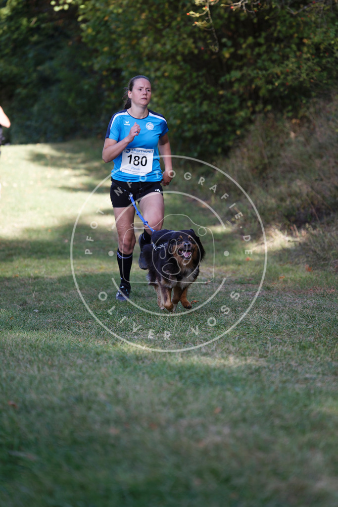 0L8A5442 | Hundefotografie, Tierfotograf, Pfotenfotografie, Fotoshooting Hund, Hunde Portrait, Hundesport, Hundeportraits, Heideshooting, Hunde, Sportfotograf, Hundefotograf, Turnierhundsport, THS,  - Realisiert mit Pictrs.com