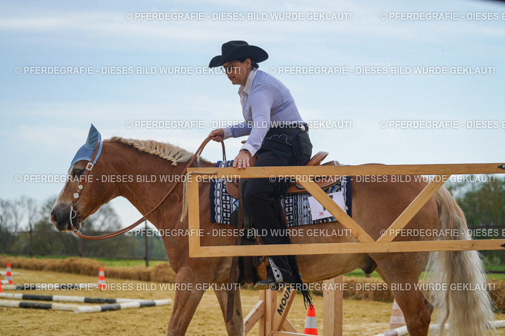 DSC02446 | Pferdegrafie