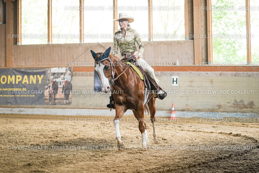 DSC05734 | Pferdegrafie