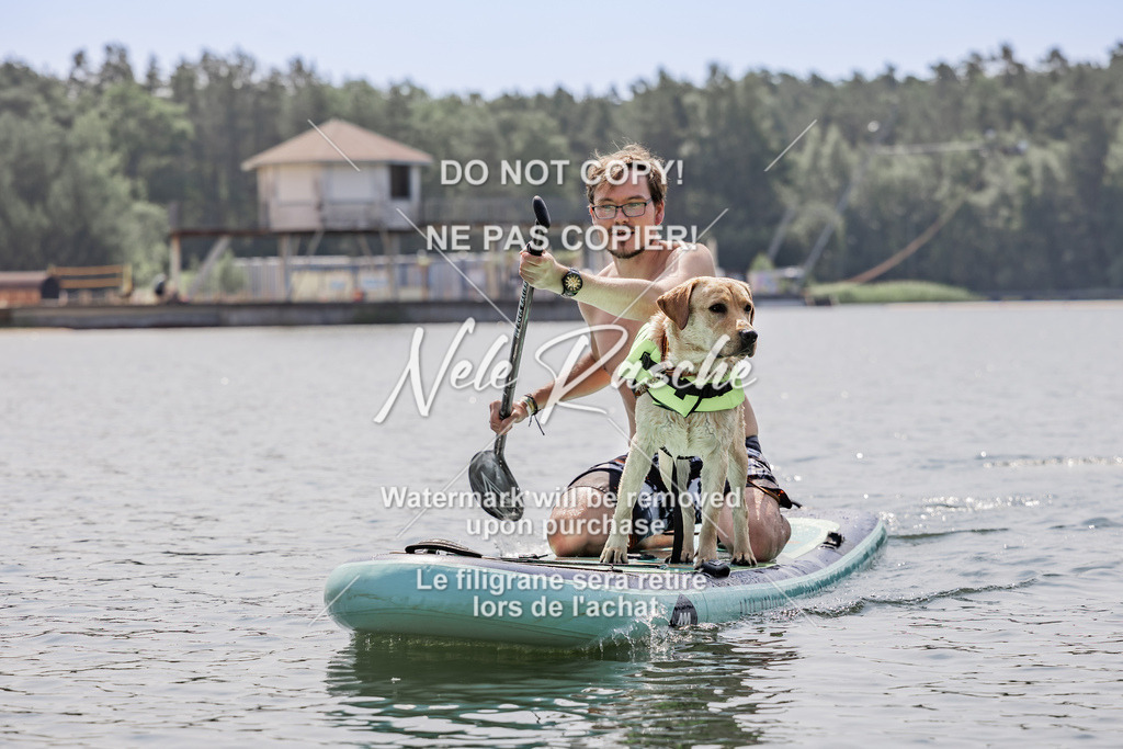 BUHU_SUP_595 | nelerasche