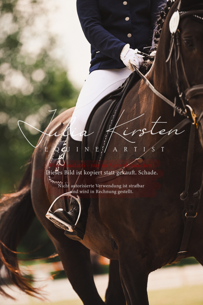 DSC_6339 | Pferde- und Turnierfotografie in Westsachsen. Pferdeportraits, Auftragszeichnungen und intuitive Kunst.