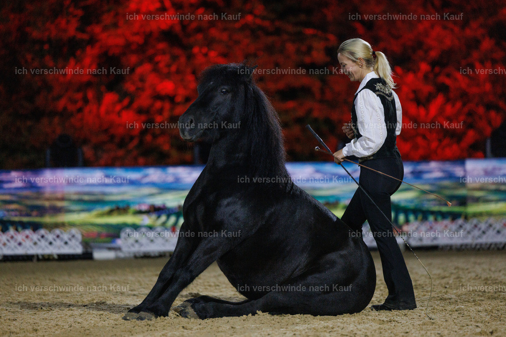 FHClassics-253 | working equitationturnier fotograf videograf stoibphotography marixx film working equitation deutschland reitsport turnierfotografie eventfotografie equestrian events
