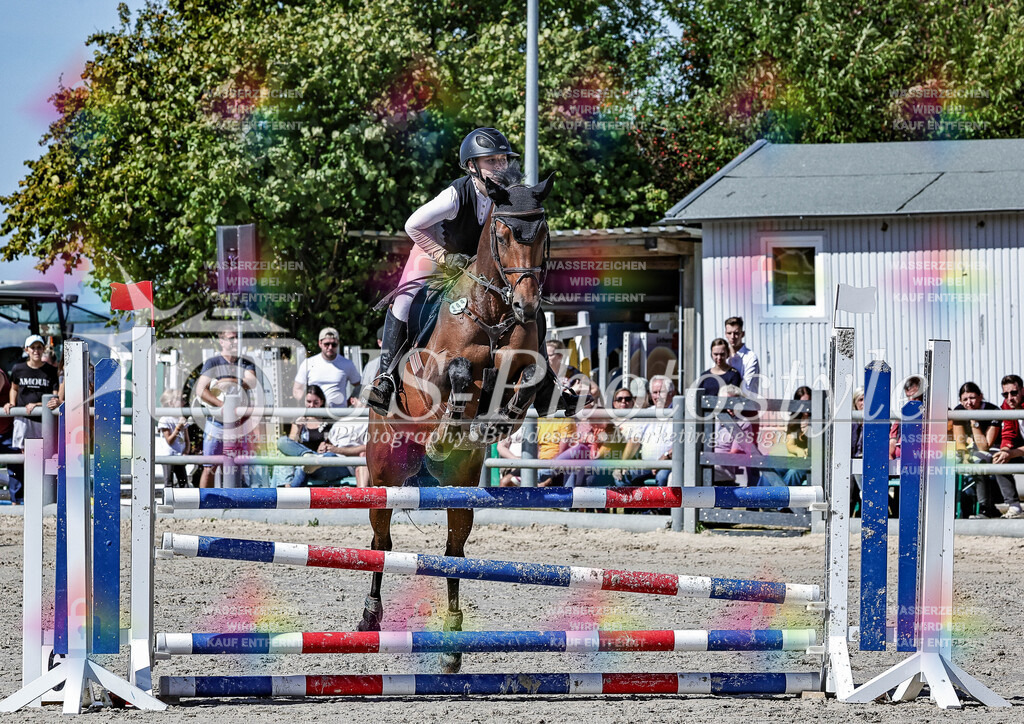 20250907_13_Punktespringprf. Kl. A m. Joker_ 100cm_ Amateure-66 | JS-PHOTOSTYLE