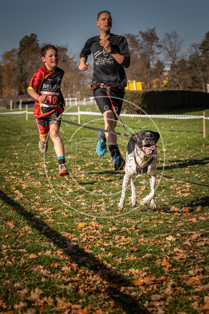CaniXpix_0L8A6798 | Hundefotografie, Tierfotograf, Pfotenfotografie, Fotoshooting Hund, Hunde Portrait, Hundesport, Hundeportraits, Heideshooting, Hunde, Sportfotograf, Hundefotograf, Turnierhundsport, THS,  - Realisiert mit Pictrs.com