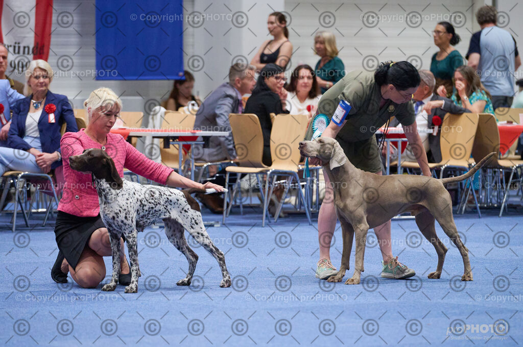 202406_ÖKV-IHA-Tulln24_DSC_3113 | proPHOTO - Realisiert mit Pictrs.com