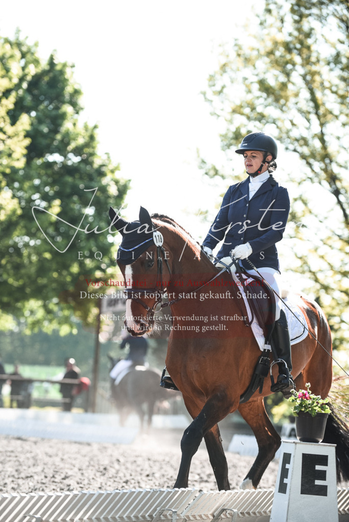 DSC_8515 | Pferde- und Turnierfotografie in Westsachsen. Pferdeportraits, Auftragszeichnungen und intuitive Kunst.