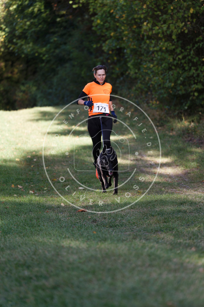 0L8A5344 | Hundefotografie, Tierfotograf, Pfotenfotografie, Fotoshooting Hund, Hunde Portrait, Hundesport, Hundeportraits, Heideshooting, Hunde, Sportfotograf, Hundefotograf, Turnierhundsport, THS,  - Realisiert mit Pictrs.com