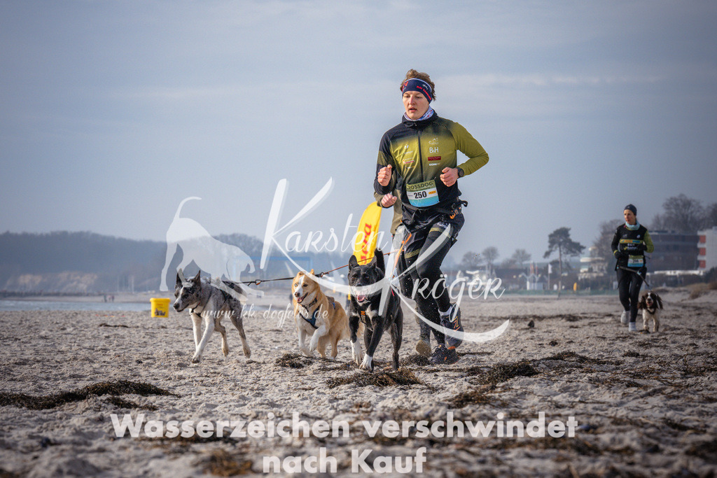 1017_ZZ94637 | kk-dogfotos