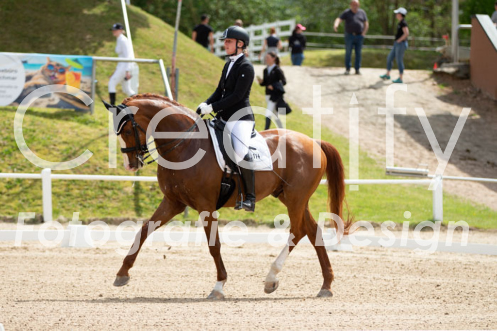 IMG_6487 | Creatify Fotografie