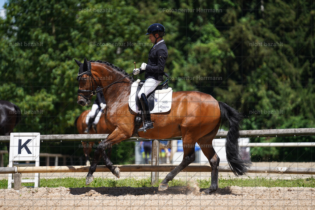 20240705-FAH03795 | Turnierbilder von Grafing, Reitsportbilder, Turnierfotos, Turnierfotografen Bayern, Pferdefotograf, Fotoagentur Herrmann