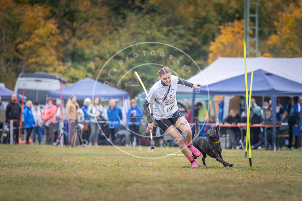 Pfotenfotografie_DV3A1087 | Hundefotografie, Tierfotograf, Pfotenfotografie, Fotoshooting Hund, Hunde Portrait, Hundesport, Hundeportraits, Heideshooting, Hunde, Sportfotograf, Hundefotograf, Turnierhundsport, THS,  - Realisiert mit Pictrs.com