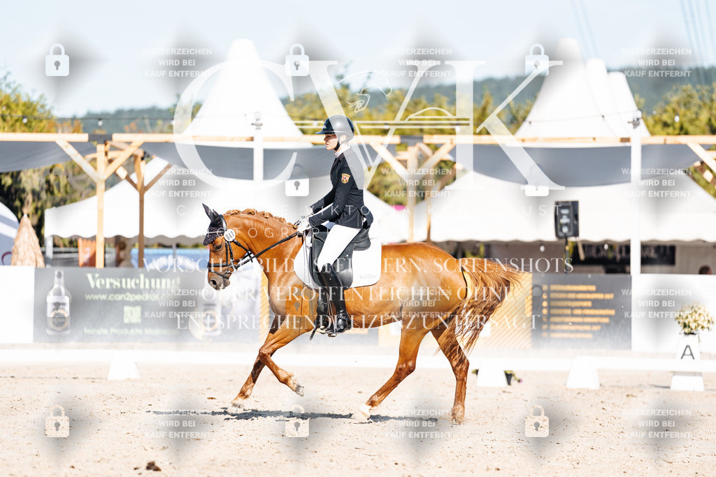 CK907822 | Turnierfotografie Pferdefotografie Trier Rheinland-Pfalz Pferdesport Reitsport Tierfotografie Sportfotografie Pferdevideo Pferdevideografie Equestrianvideography equestrianphotography  - Realisiert mit Pictrs.com