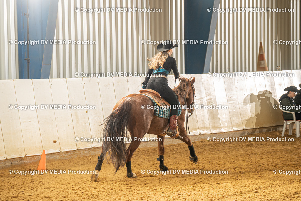 MIT00633 | dv-media-shop - Realisiert mit Pictrs.com