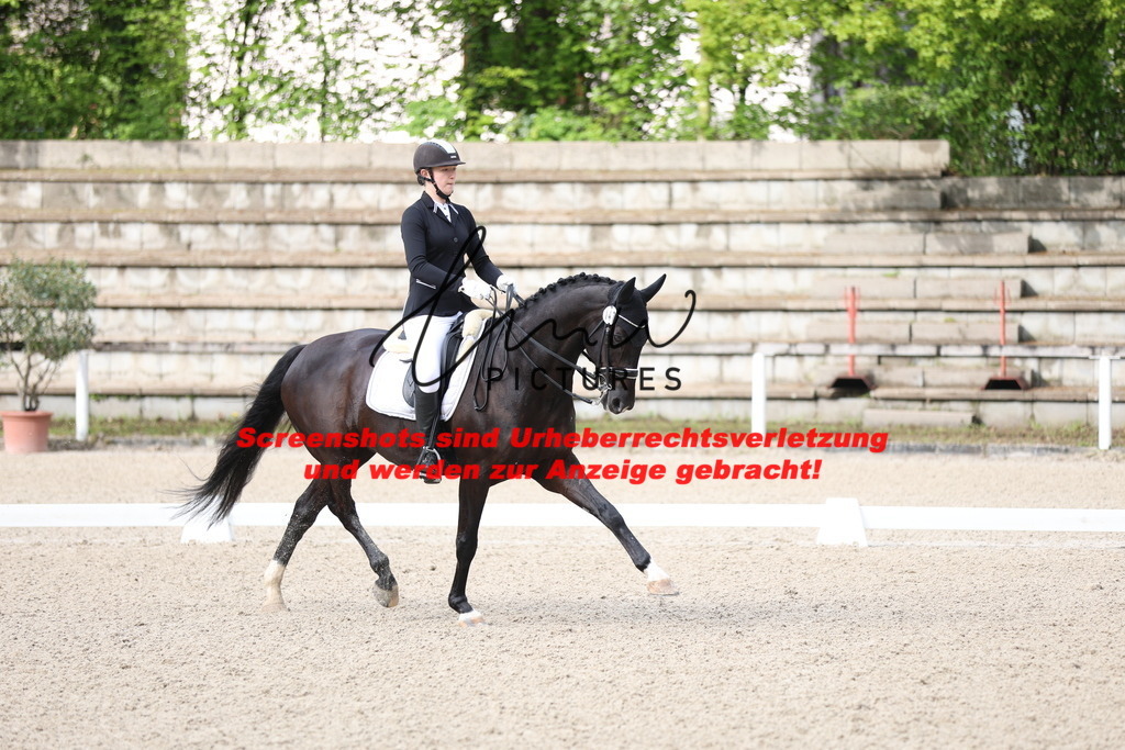 A40A0293 | lmwpictures - Realisiert mit Pictrs.com