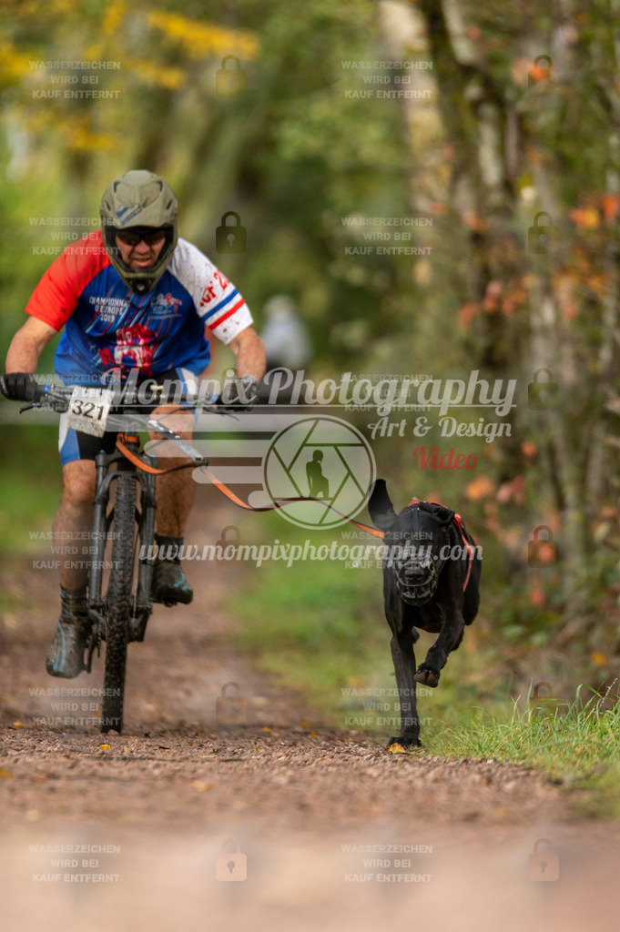 TSB_2023_E4_Bike-34 | PayLife