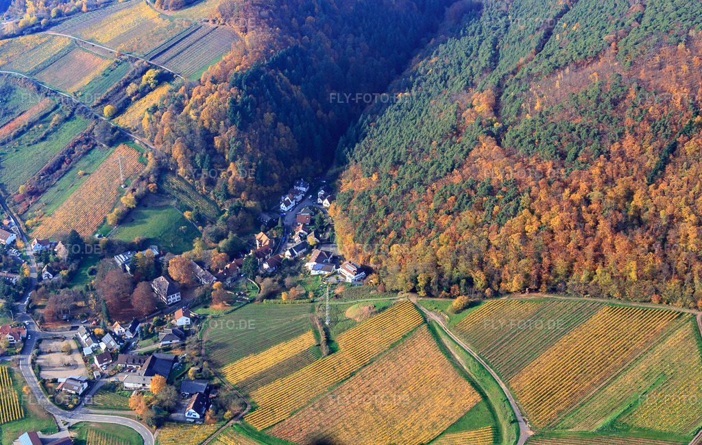 Luftbild: Schlossstraße St. Johann in Albersweiler im Bundesland Rheinland-Pfalz in Deutschland.Foto: IMG_085117.jpg vom 08.11.2015 durch Werner Riehm/FLY-FOTO.deAuflösung des Originals: 5021 x 3184 px