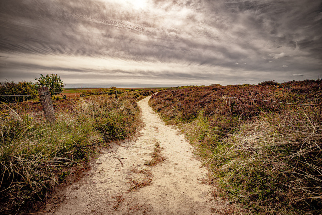 Ein Sandpfad durch die nuturbelassene Dünenlandschaft auf Sylt | Dieses Bild zeigt eine wunderschöne, naturbelassene Dünenlandschaft mit einem geschwungenen Sandpfad, der typisch für die Nordseeküste ist. Details zur LandschaftVegetation: Der Weg ist von typischem Dünengras (Heidekraut und Strandhafer) gesäumt.Vordergrund: Auf der rechten Seite ist ein alter Holzpfahl mit einem verrosteten Draht zu sehen.Atmosphäre: Der bewölkte, dramatische Himmel verleiht der Szene eine weite und windige Küstenstimmung. - Realisiert mit Pictrs.com