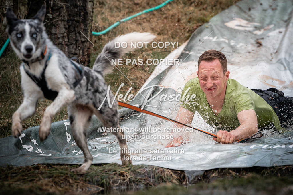nelerasche_1230-1300_26 | nelerasche