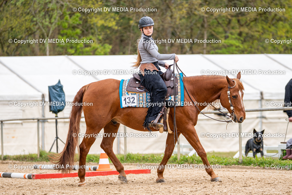 Heiligenwald Tag 1-500 | dv-media-shop - Realisiert mit Pictrs.com