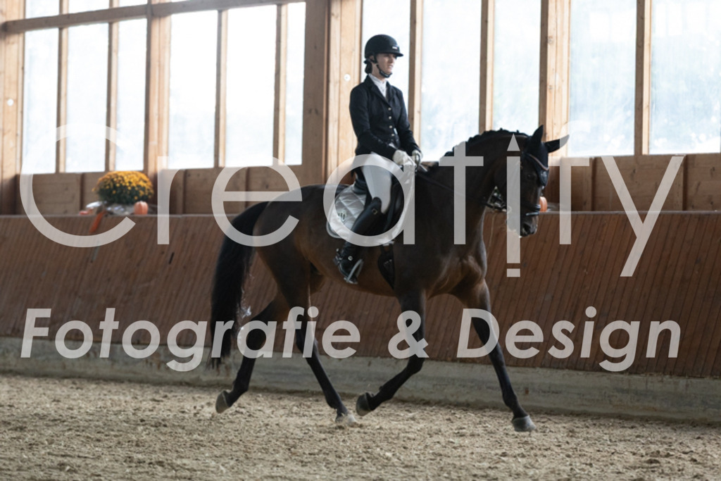 IMG_3382 | Creatify Fotografie