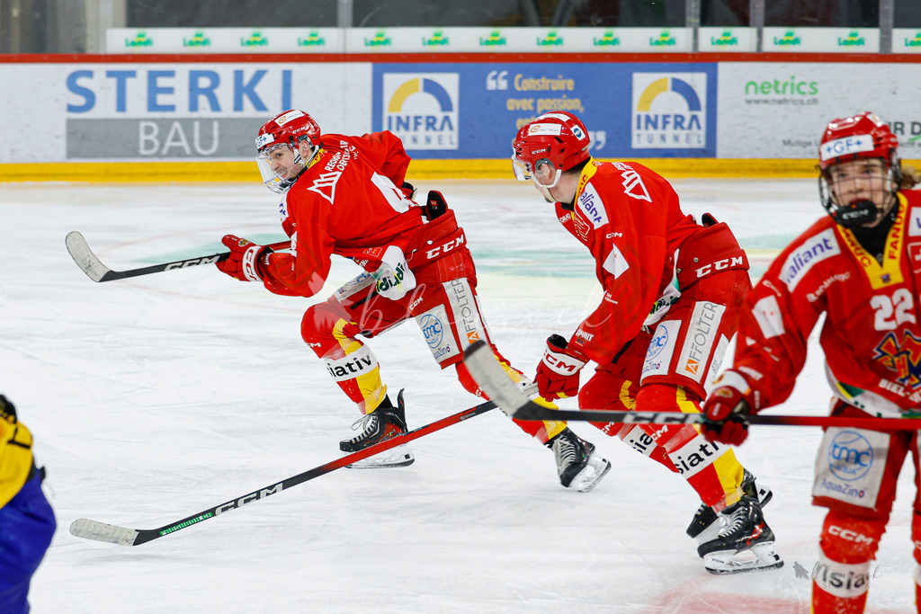 U21_EHCB vs HCD_wb20260308-0169 | Sportbilder, Sportfotograf, Hochzeits- und Eventfotografin, Flugshows, Portraits und Tiershooting, Aviation, Downhill, Nationalleague, Swissleague, International