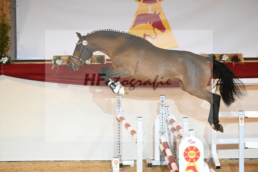 Kat-Nr. 20 Don VHP Z_Schwinghammer_1230913 | hf-fotografie - Realizzato con Pictrs.com