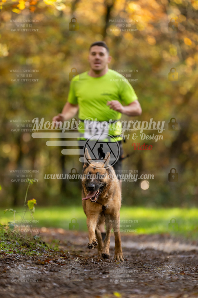 MompixPhotography_Bischwiller23_Canicross-113 | PayLife