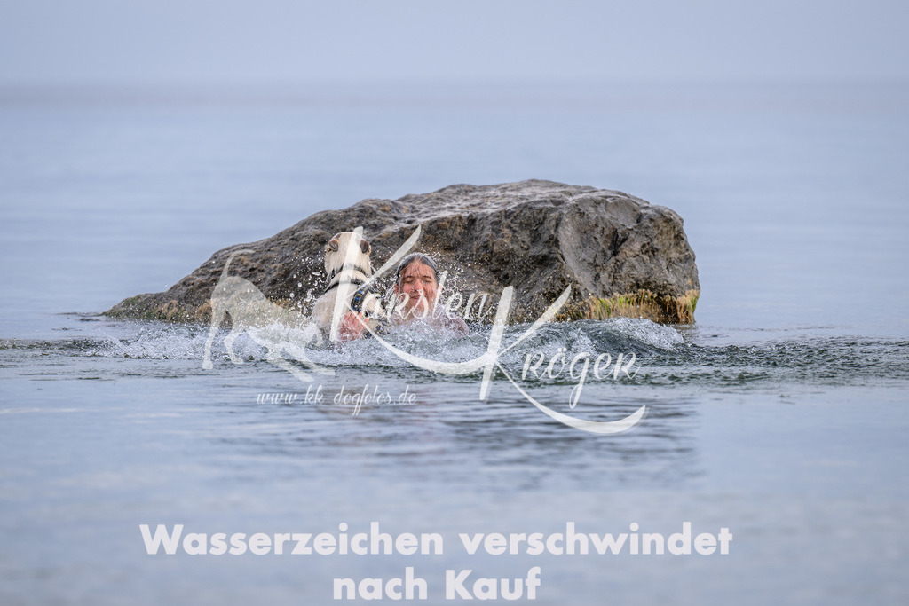 1211_ZZ90126 | kk-dogfotos