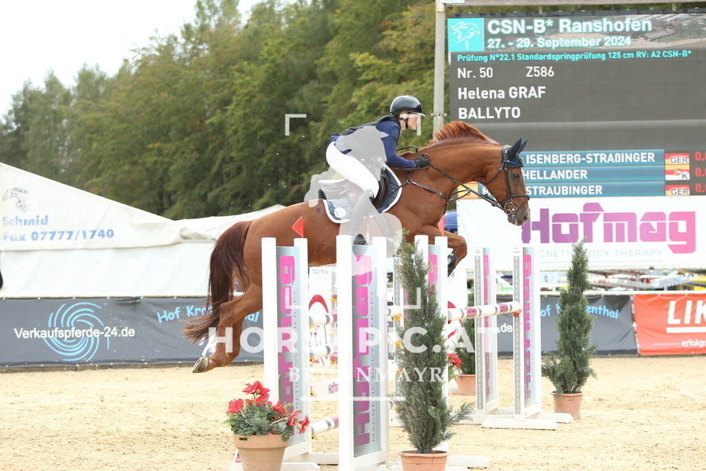 DL2Q5383 | Willkommen bei Brunnmayr - Design & Fotografie – Ihrem Spezialisten für Reitturniere und Pferdeveranstaltungen in Oberösterreich, Salzburg und Bayern! Seit über 17 Jahren sind wir leidenschaftlich dabei.