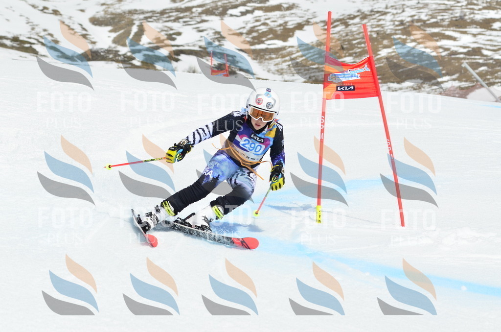 _ELE2069 | holidayphoto