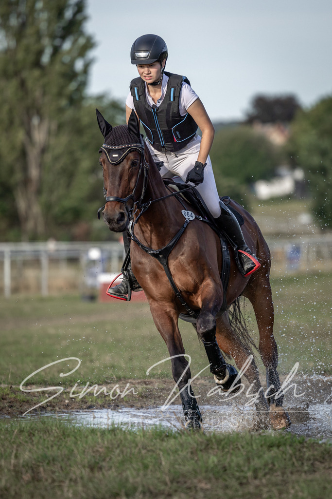 20250907-_3LI8478 | Tierfotografie Pferde, Hunde, Katzen, Haustiere.
Turnierfotografie Reitturniere, Reiten, Springreiten, Dressur in Hanau, dem Main-Kinzig-Kreis und dem Rhein-Main- Gebiet um Frankfurt