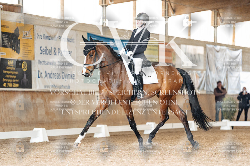 CK901786 | Turnierfotografie Pferdefotografie Trier Rheinland-Pfalz Pferdesport Reitsport Tierfotografie Sportfotografie Pferdevideo Pferdevideografie Equestrianvideography equestrianphotography  - Realisiert mit Pictrs.com