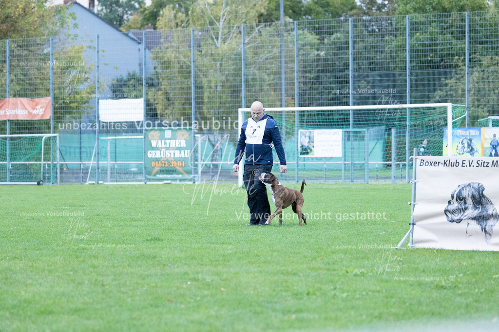 _16A4397 | Einzigartige Fotos von Hunden & Menschen –Actionfotos, Portraits, Vereinsaufnahmen & Paarshootings – authentisch, lebendig & mit Herz.